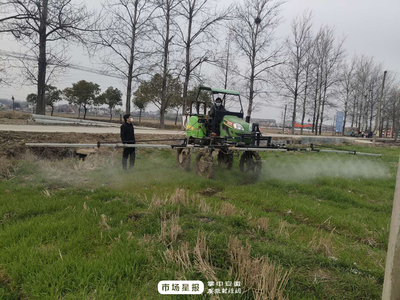 马鞍山市含山县:疫情期间保春耕