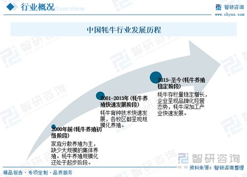 一文浅析2023年中国牦牛养殖产业现状 优势养殖区域及未来发展前景