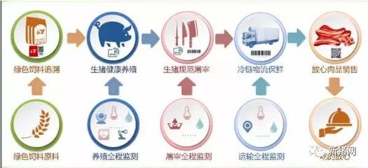 洪平:养猪业大洗牌时代,如何实现由3D走向3C的未来养猪?